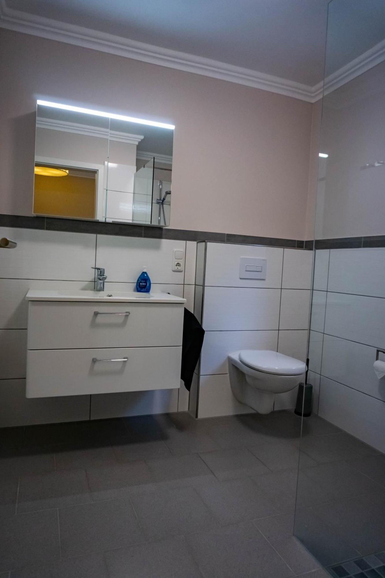 Haus Strandlust- Gemuetliches Studio Direkt Am Duemmer Apartman Lembruch Kültér fotó