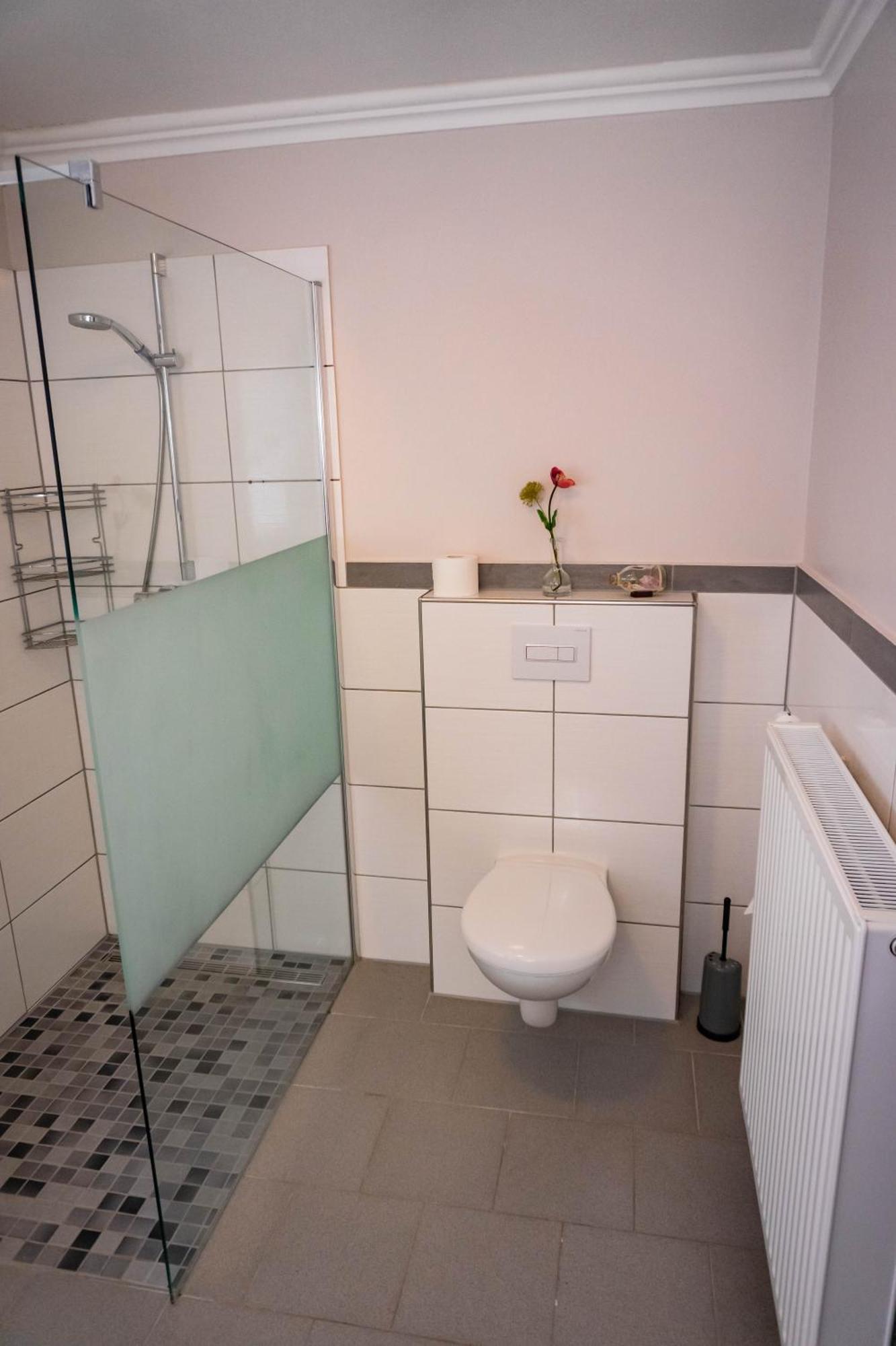 Haus Strandlust- Gemuetliches Studio Direkt Am Duemmer Apartman Lembruch Kültér fotó